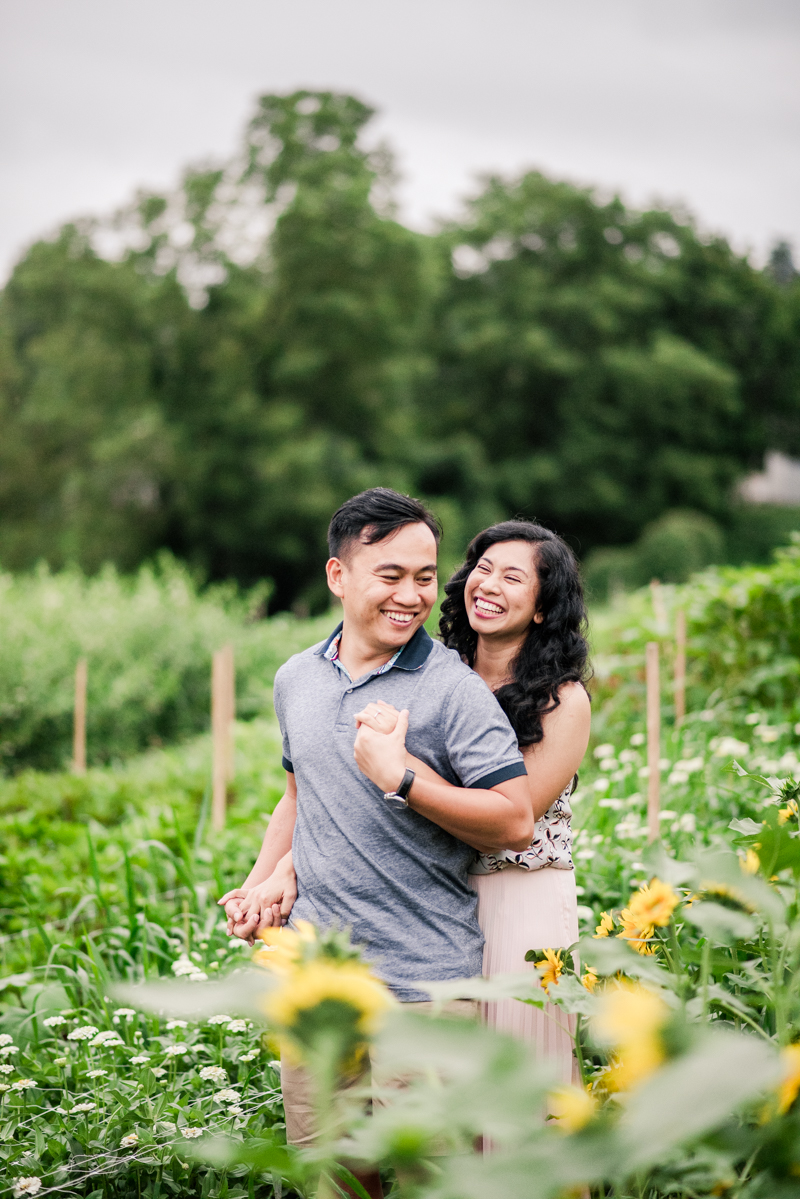 Wedding Photographers in Maryland Butterbee Farm Engagement Baltimore Sunflower Fields