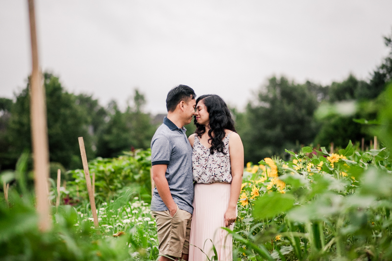 Wedding Photographers in Maryland Butterbee Farm Engagement Baltimore Sunflower Fields