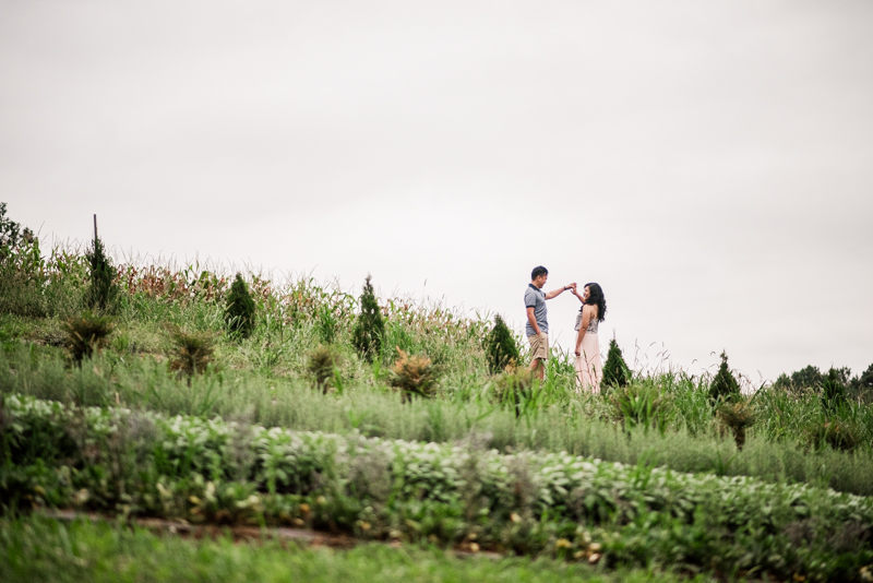 Wedding Photographers in Maryland Butterbee Farm Engagement Baltimore Flower Fields