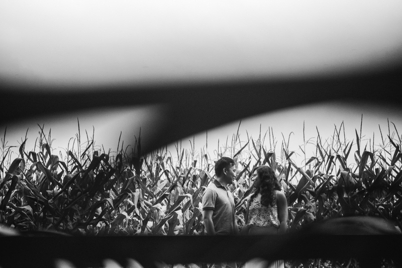 Wedding Photographers in Maryland Butterbee Farm Engagement Baltimore Flower Fields