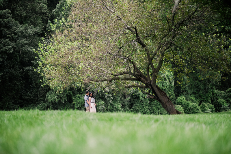 Wedding Photographers in Maryland Butterbee Farm Engagement Baltimore Flower Fields