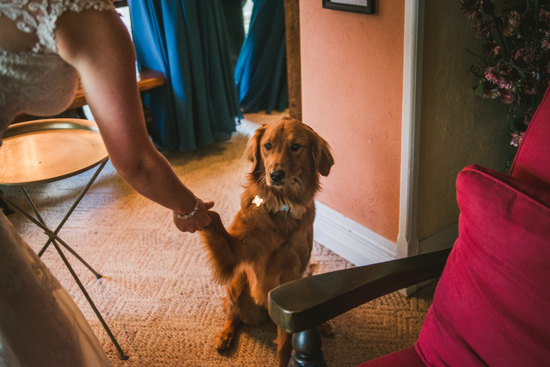 Chanteclaire Farm Wedding Photographer Friendsville Maryland