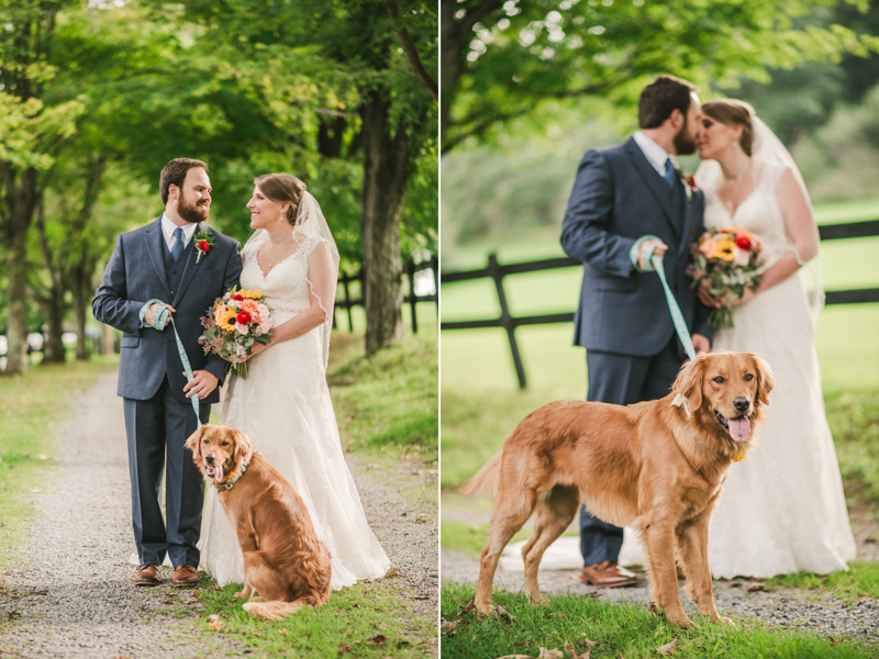 Chanteclaire Farm Wedding Photographer Friendsville Maryland Dog