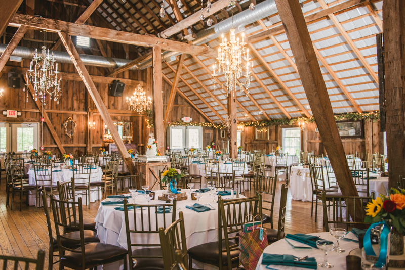 Chanteclaire Farm Wedding Photographer Friendsville Maryland Reception