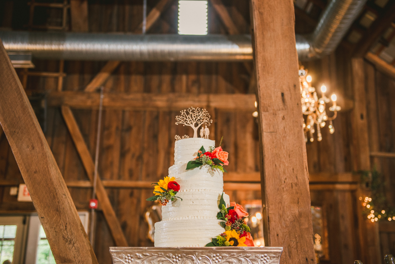 Chanteclaire Farm Wedding Photographer Friendsville Maryland Reception Cake