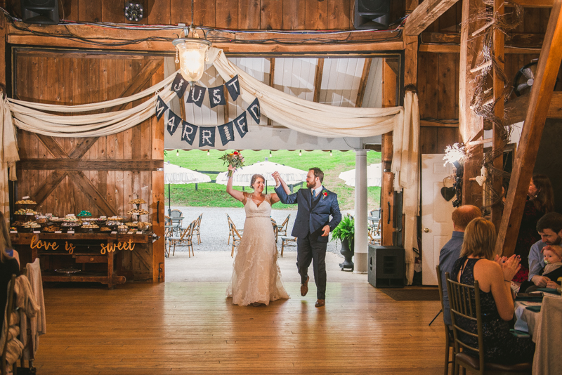 Chanteclaire Farm Wedding Photographer Friendsville Maryland Reception