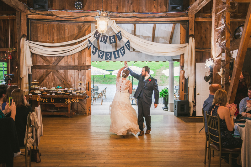 Chanteclaire Farm Wedding Photographer Friendsville Maryland Reception