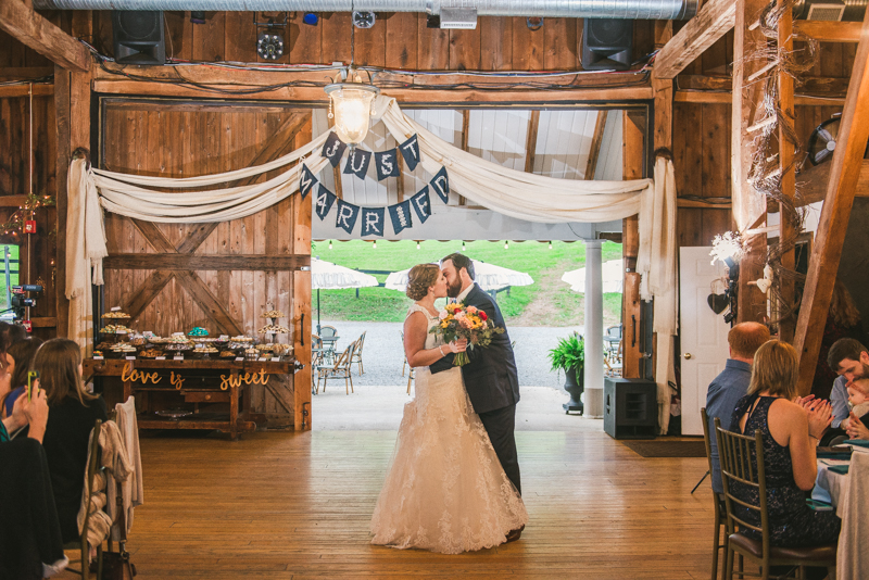 Chanteclaire Farm Wedding Photographer Friendsville Maryland Reception