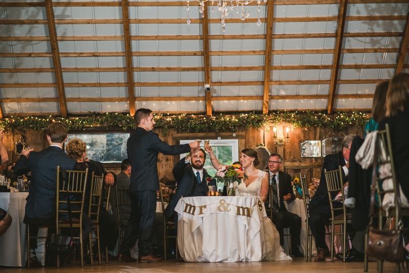 Chanteclaire Farm Wedding Photographer Friendsville Maryland Reception