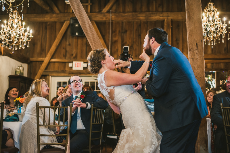 Chanteclaire Farm Wedding Photographer Friendsville Maryland Reception