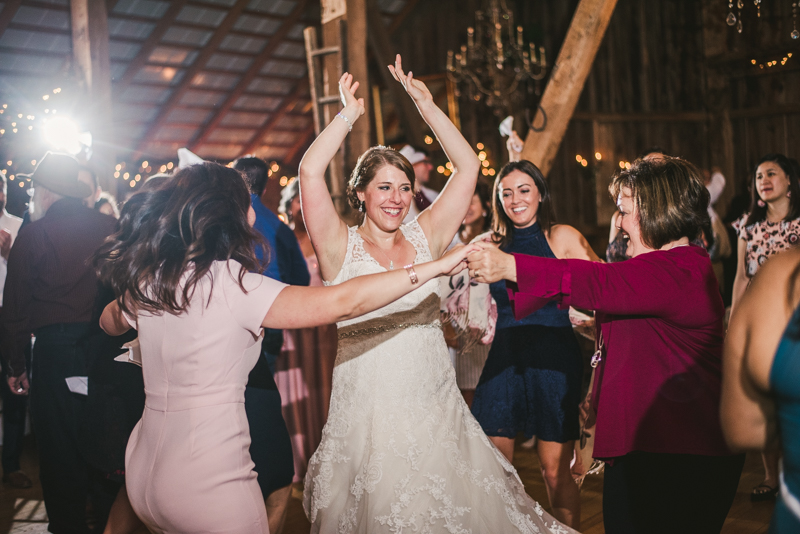 Chanteclaire Farm Wedding Photographer Friendsville Maryland Reception