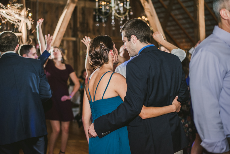 Chanteclaire Farm Wedding Photographer Friendsville Maryland Reception