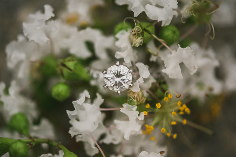 Maryland Wedding Photographers Washington DC Engagement Session Ring