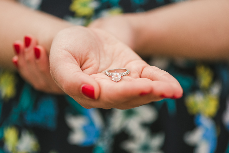 Maryland Wedding Photographers Washington DC Engagement Session Capitol Ring