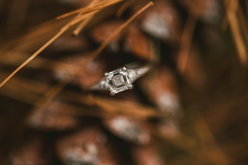 Kinder Farm Engagement Session Maryland Wedding Photographer Ring