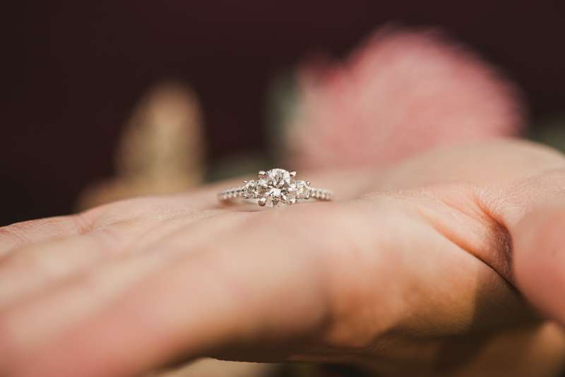 Wedding Photographers in Maryland Patapsco Valley Park Baltimore Engagement Session Avalon River Road Entrance Ring