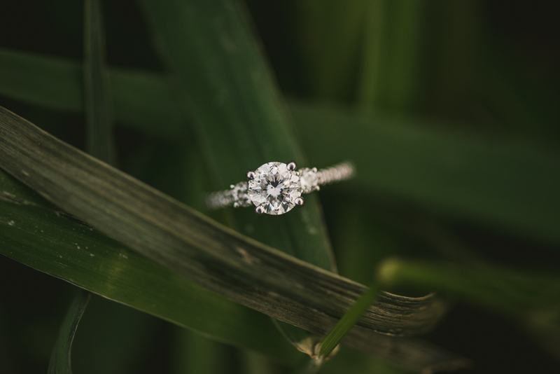 Wedding Photographers in Maryland Patapsco Valley Park Baltimore Engagement Session Avalon River Road Entrance Thomas Viaduct Ring