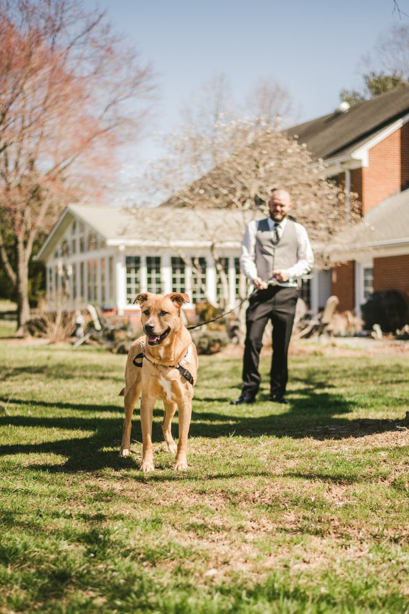 A gorgeous Spring wedding at Renditions Golf Course in Davidsonville, Maryland photographed by Britney Clause Photography a wedding photographer in Maryland