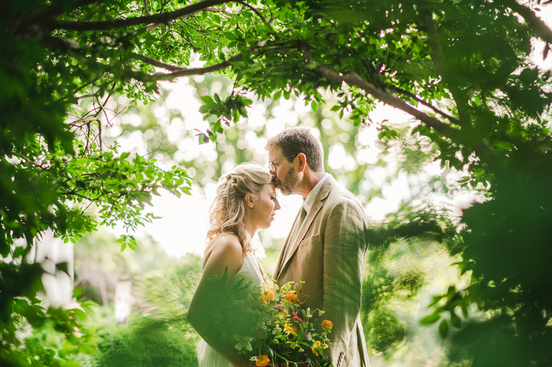 Gorgeous summer wedding bride and groom portraits at Rocklands Farm Winery in Poolesville, Maryland by Britney Clause Photography a husband and wife wedding photographer team in Maryland