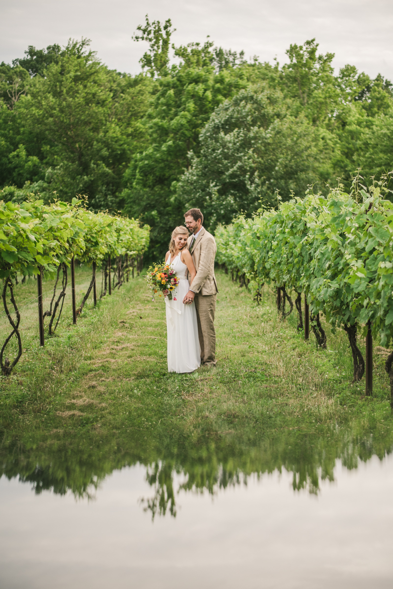 Gorgeous summer wedding bride and groom portraits at Rocklands Farm Winery in Poolesville, Maryland by Britney Clause Photography a husband and wife wedding photographer team in Maryland