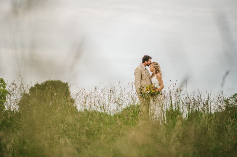 Gorgeous summer wedding bride and groom portraits at Rocklands Farm Winery in Poolesville, Maryland by Britney Clause Photography a husband and wife wedding photographer team in Maryland