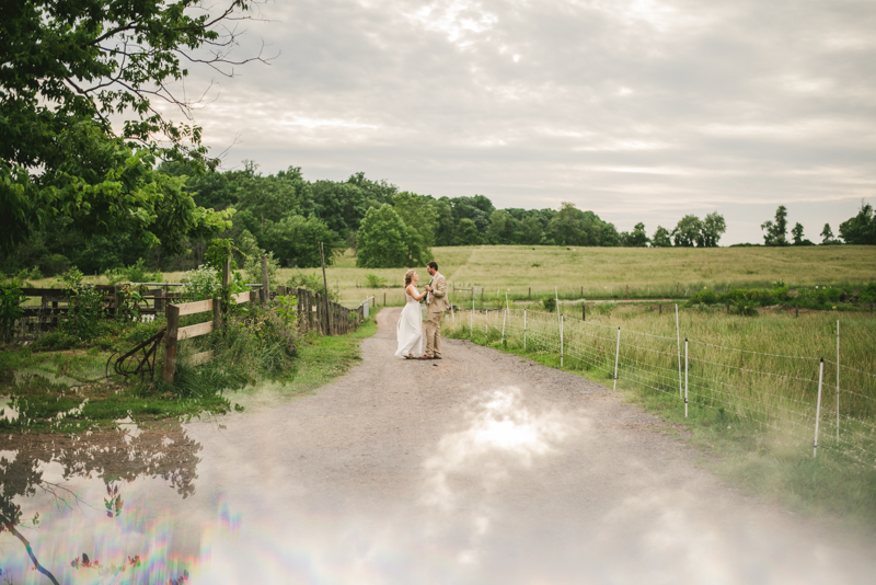 Gorgeous summer wedding bride and groom portraits at Rocklands Farm Winery in Poolesville, Maryland by Britney Clause Photography a husband and wife wedding photographer team in Maryland