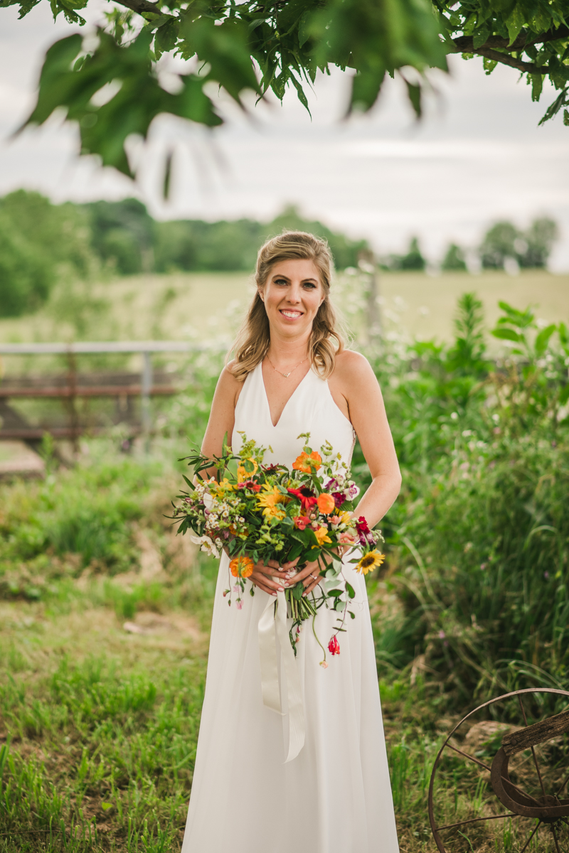 Gorgeous summer wedding bride and groom portraits at Rocklands Farm Winery in Poolesville, Maryland by Britney Clause Photography a husband and wife wedding photographer team in Maryland