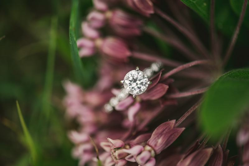 A beautiful engagement session at Kinder Farm Park with Britney Clause Photography, wedding photographers in Maryland