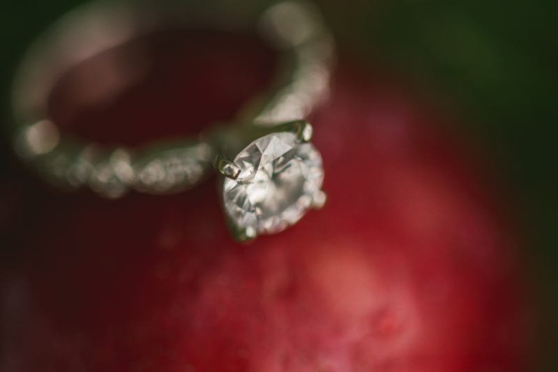 A beautiful engagement session at Kinder Farm Park with Britney Clause Photography, wedding photographers in Maryland