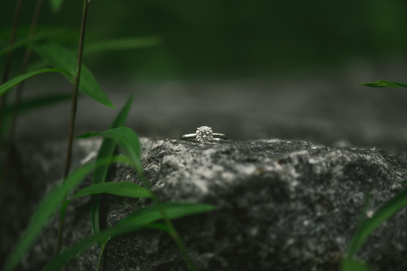 A gorgeous engagement session in Annapolis Maryland at Sherwood Forest by Britney Clause Photography