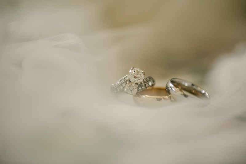 A gorgeous summer wedding at Dulany's Overlook in Frederick Maryland by Britney Clause Photography, wedding photographers in Maryland. 