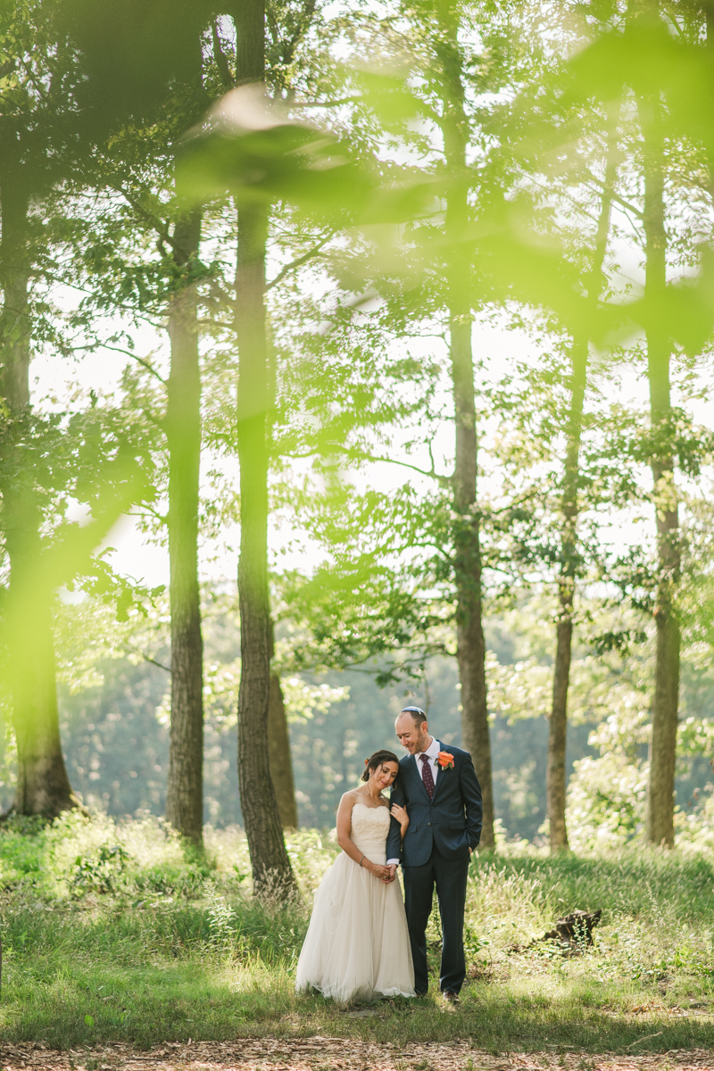 A gorgeous summer wedding at Dulany's Overlook in Frederick Maryland by Britney Clause Photography, wedding photographers in Maryland. 