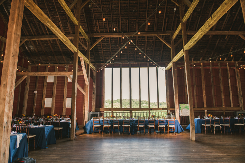 A gorgeous summer wedding at Dulany's Overlook in Frederick Maryland by Britney Clause Photography, wedding photographers in Maryland. 