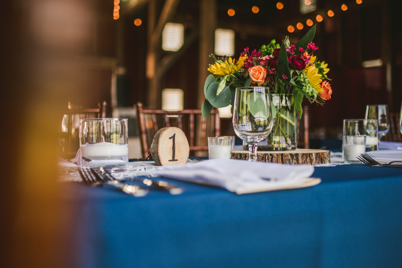 A gorgeous summer wedding at Dulany's Overlook in Frederick Maryland by Britney Clause Photography, wedding photographers in Maryland. 