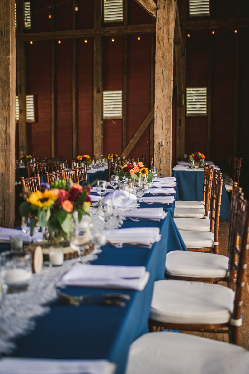 A gorgeous summer wedding at Dulany's Overlook in Frederick Maryland by Britney Clause Photography, wedding photographers in Maryland. 