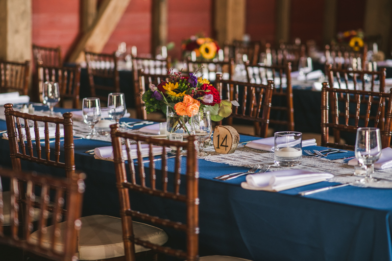 A gorgeous summer wedding at Dulany's Overlook in Frederick Maryland by Britney Clause Photography, wedding photographers in Maryland. 