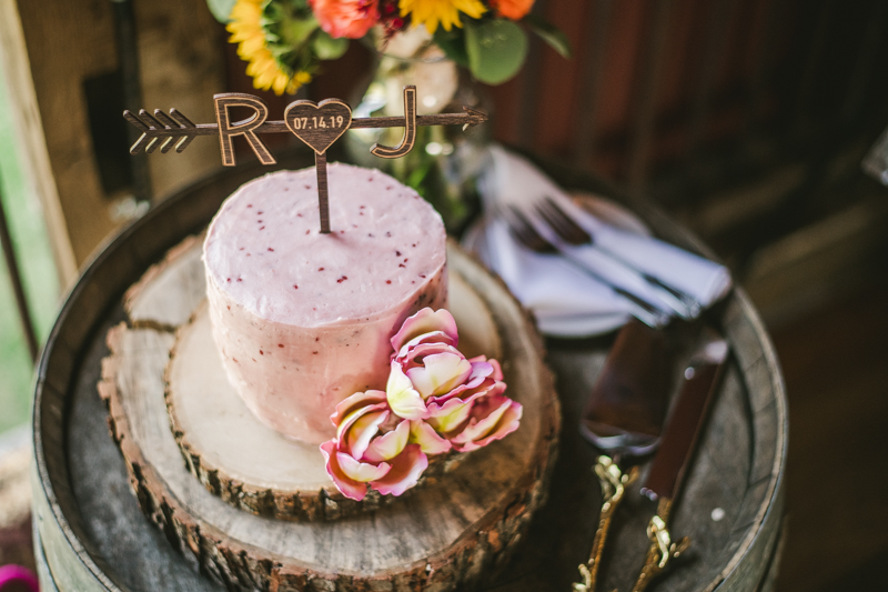 A gorgeous summer wedding at Dulany's Overlook in Frederick Maryland by Britney Clause Photography, wedding photographers in Maryland. 