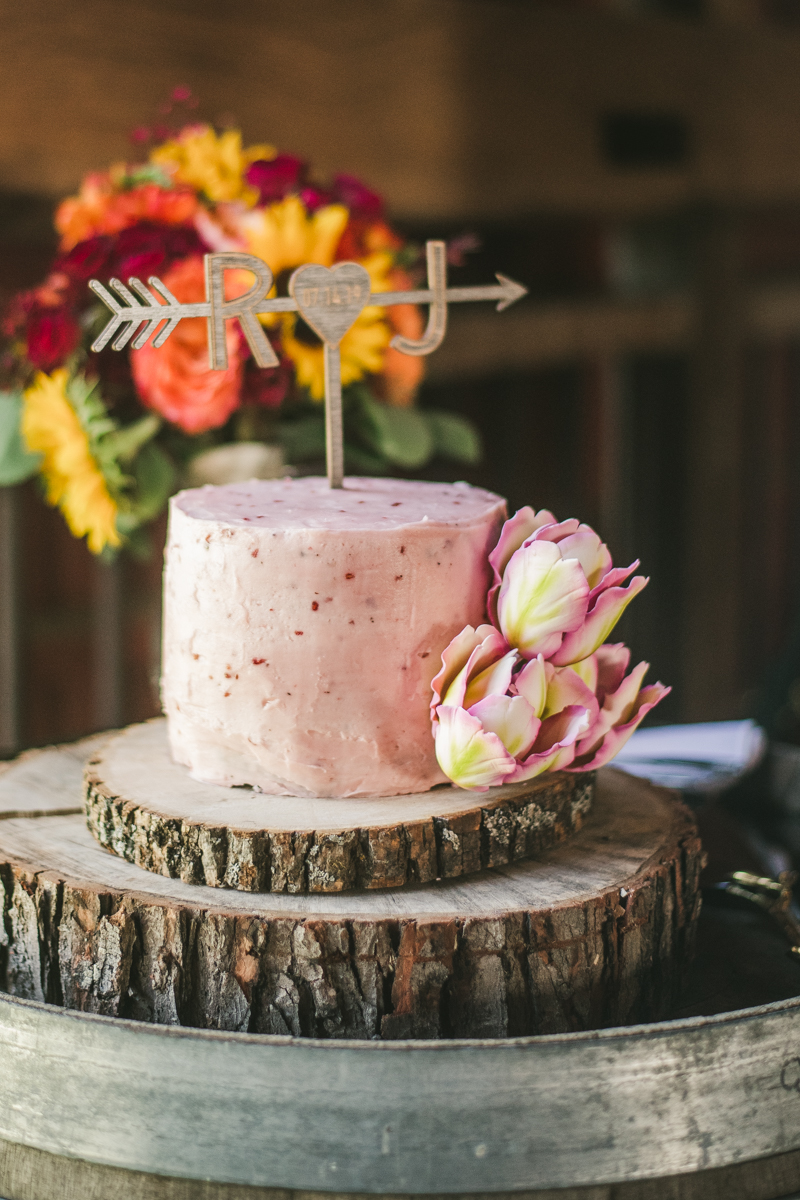 A gorgeous summer wedding at Dulany's Overlook in Frederick Maryland by Britney Clause Photography, wedding photographers in Maryland. 