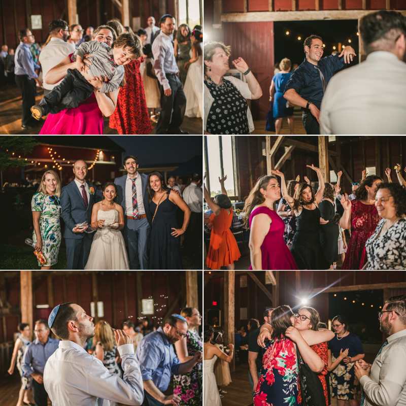 A gorgeous summer wedding at Dulany's Overlook in Frederick Maryland by Britney Clause Photography, wedding photographers in Maryland.