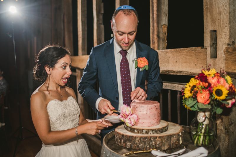 A gorgeous summer wedding at Dulany's Overlook in Frederick Maryland by Britney Clause Photography, wedding photographers in Maryland.