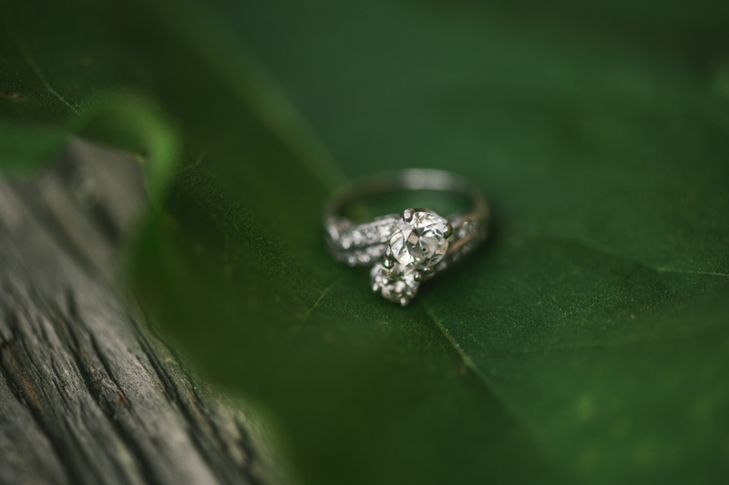 A gorgeous engagement session and ring at Rock Creek State Park in Washington DC by Britney Clause Photography Wedding Photographers in Maryland