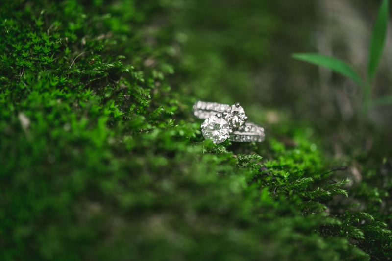 A gorgeous engagement session and ring at Rock Creek State Park in Washington DC by Britney Clause Photography Wedding Photographers in Maryland