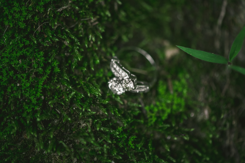 A gorgeous engagement session and ring at Rock Creek State Park in Washington DC by Britney Clause Photography Wedding Photographers in Maryland