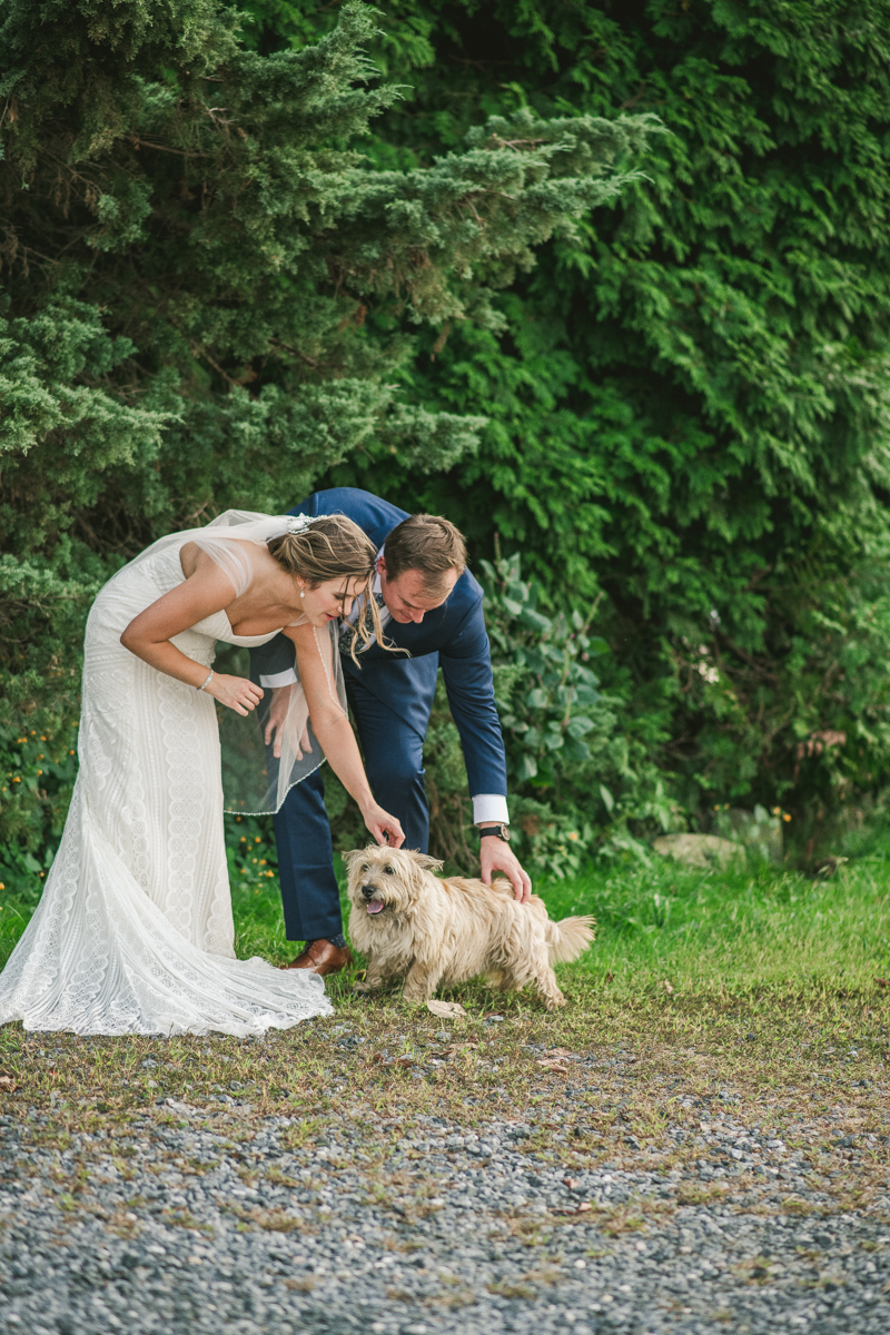 Beautiful wedding just married portraits at Sherwood Forest Clubhouse in Annapolis, Maryland by Britney Clause Photography