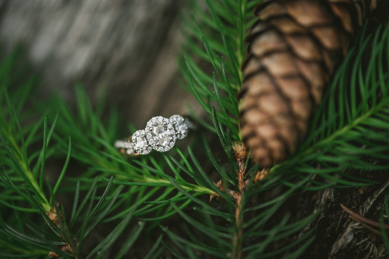 A summer engagement session at Patapsco Valley State Park in Elkridge by Britney Clause Photography