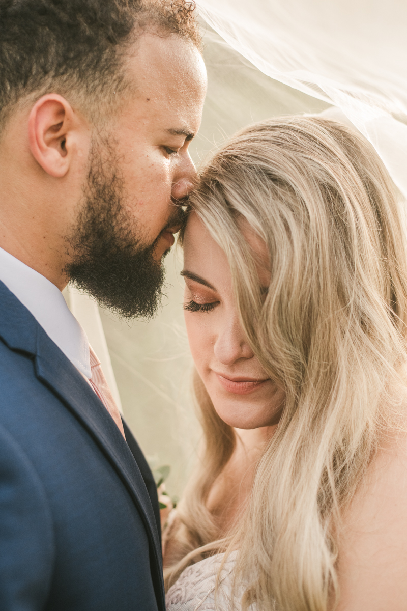 A gorgeous June wedding at the Historic Hebron House in Ellicott City by Britney Clause Photography