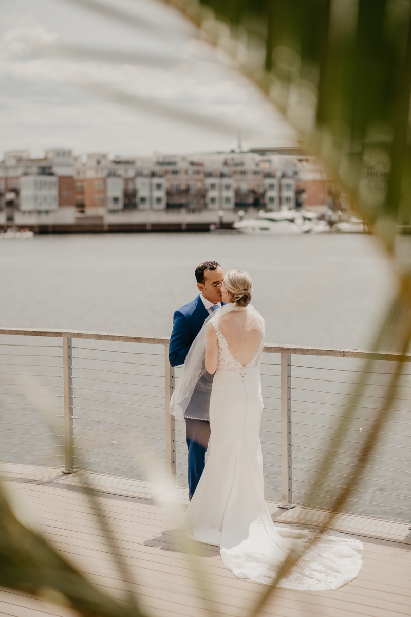 A gorgeous first look at the Baltimore Inner Harbor by Britney Clause Photography