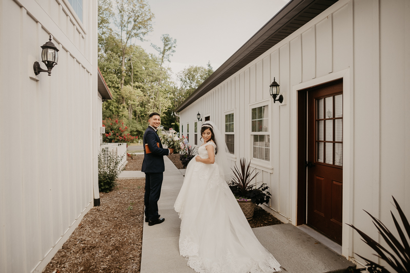 Stunning bride and groom wedding portraits at Historic Rosemont Springs, Virginia by Britney Clause Photography