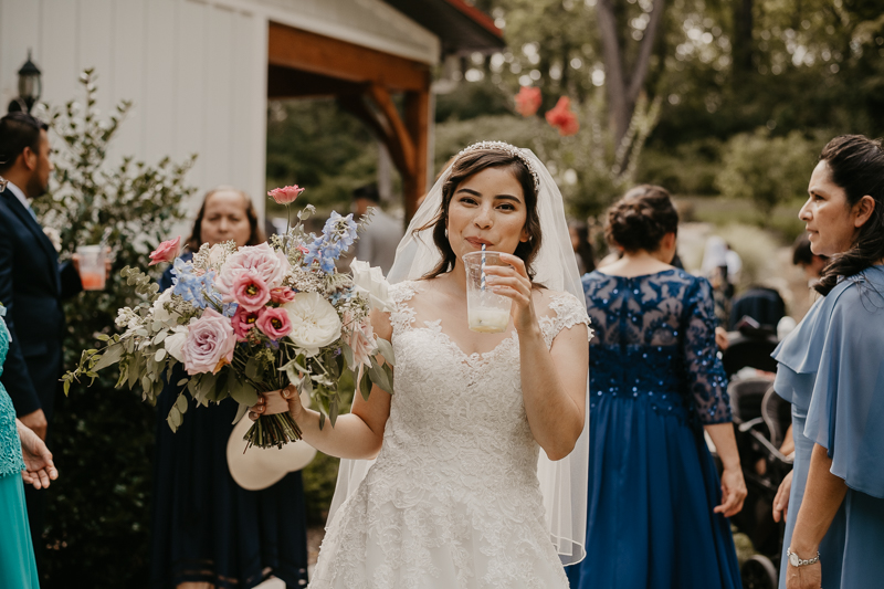 Stunning bride and groom wedding portraits at Historic Rosemont Springs, Virginia by Britney Clause Photography