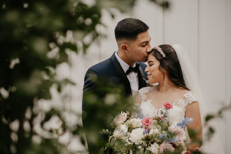 Stunning bride and groom wedding portraits at Historic Rosemont Springs, Virginia by Britney Clause Photography